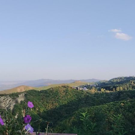 Guesthouse Fatima Sighnaghi Exterior foto