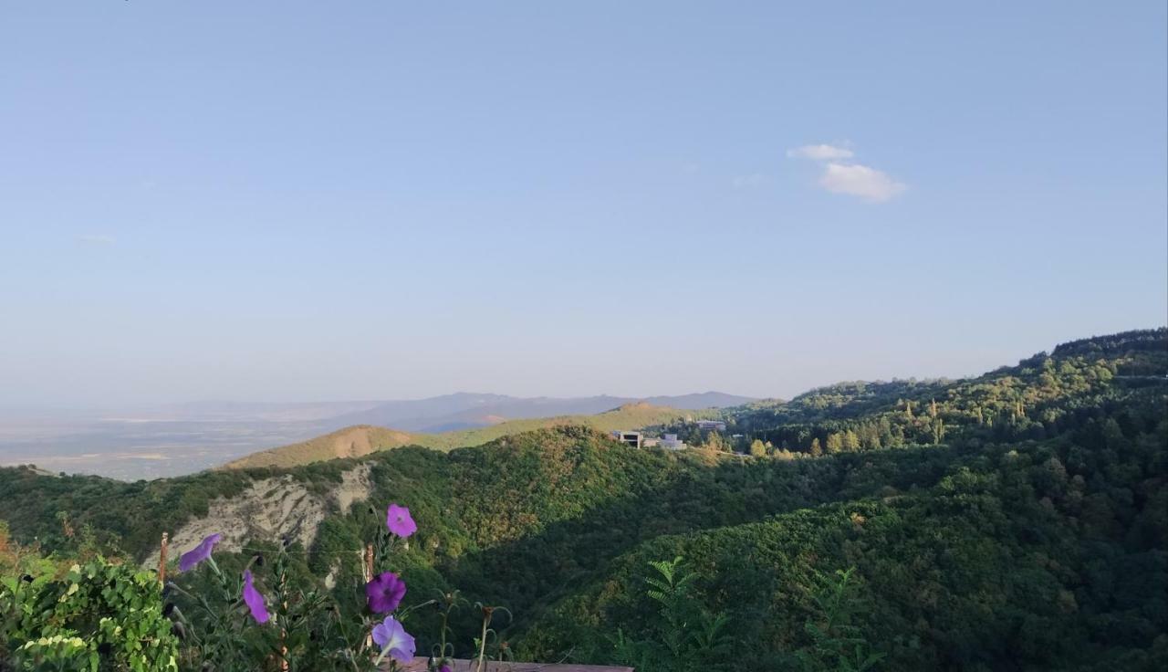 Guesthouse Fatima Sighnaghi Exterior foto